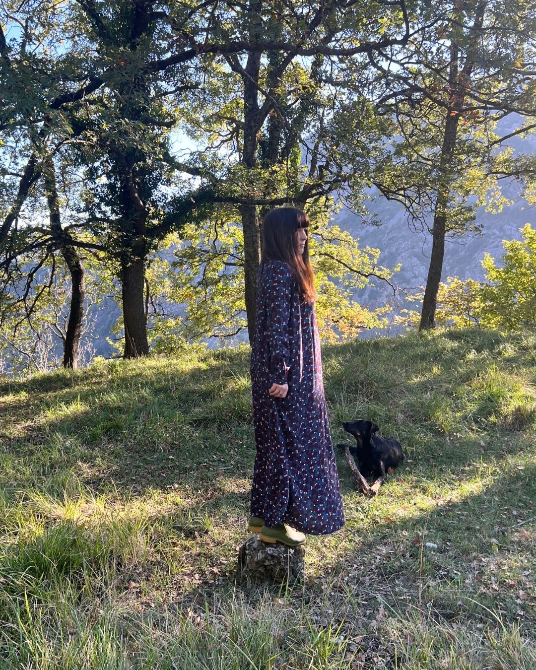 CARIN WESTER flowy floral print maxi dress