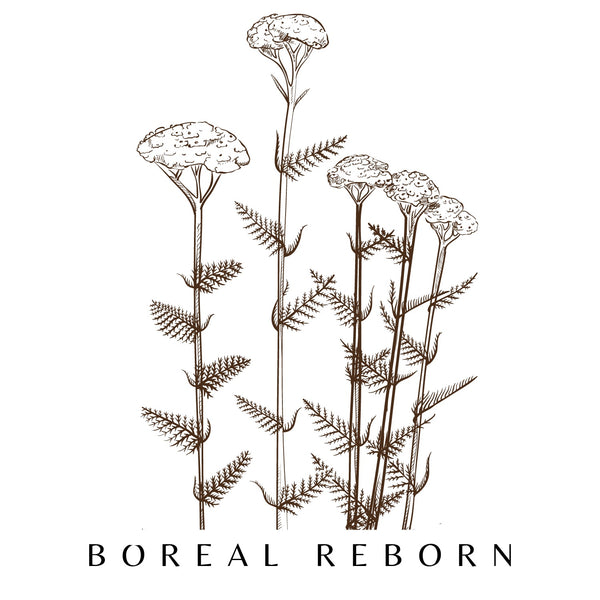 BOREAL REBORN