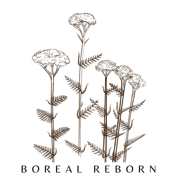 BOREAL REBORN